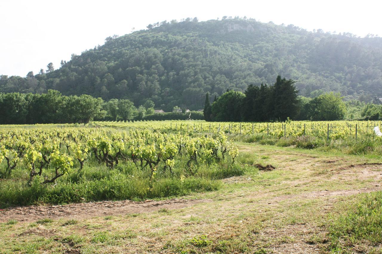לינה וארוחת בוקר וידאובה Domaine Regis Freres מראה חיצוני תמונה